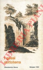 Speleologia - FORTI - I gessi