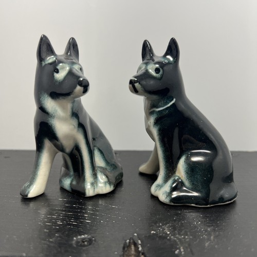 Coppia gemelli cani neri - coppia,