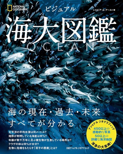 Ocean visual - visual,