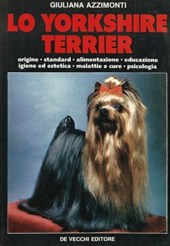 Yorkshire terrier - lo,