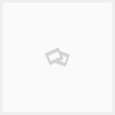 TC HELICON VOICETONE SINGLES