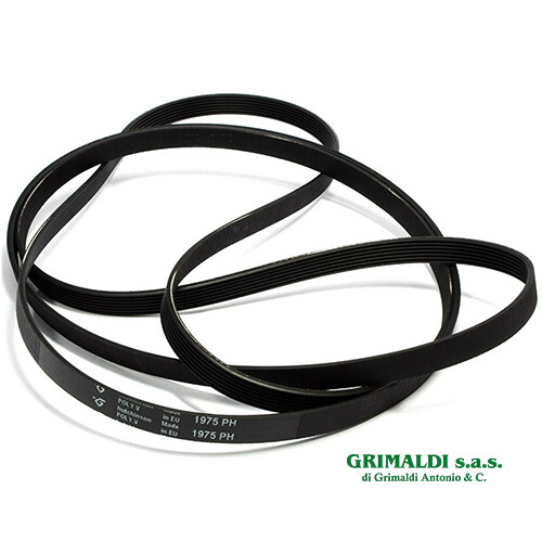 Cinghia asciugatrice poly - cinghia,