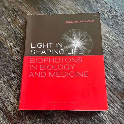 Light shaping life - light, in