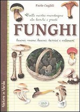 Funghi dalle nostre montagne, da boschi e prati. Buoni, meno buoni, to