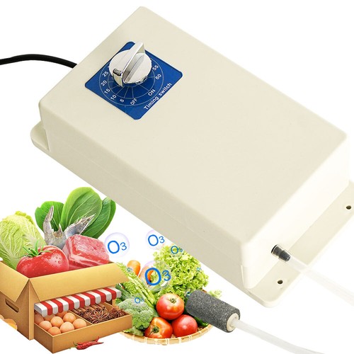 2000mg ozone generator - 2000mg/h,
