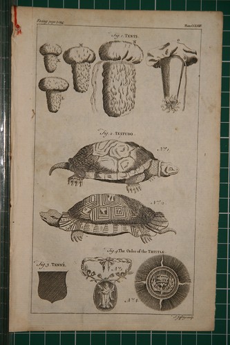 1764 antico stampa tende - 1764,