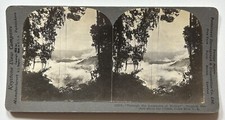 COSTA RICA Paesaggio Tropicale 1902 Foto Stereo Vintage