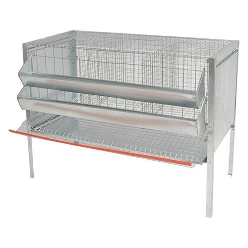 Gabbia galline ovaiole - galline, tre