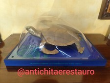 s.o.s world. Testuggini a venezia. 49 biennale venezia 2001. CRACKING ART GROUP