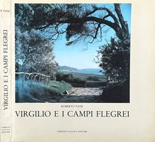 Virgilio e i campi Flegrei. 