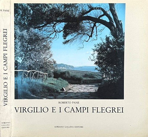 Virgilio campi flegrei - e,