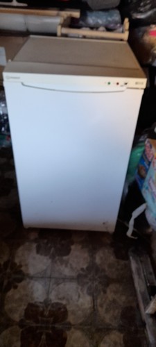 Frizzer indesit - frizzer,