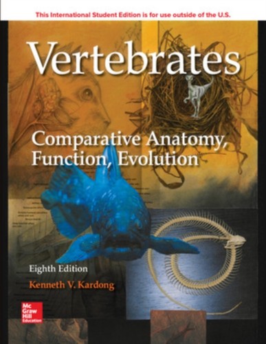 Vertebrates comparative - vertebrates,