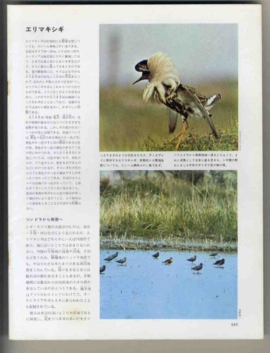 E28731972 the great - the,