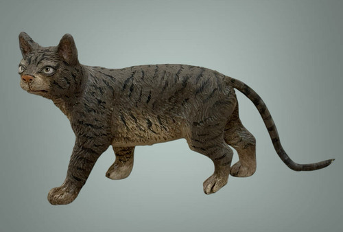 Gatto tigrato animale - gatto,