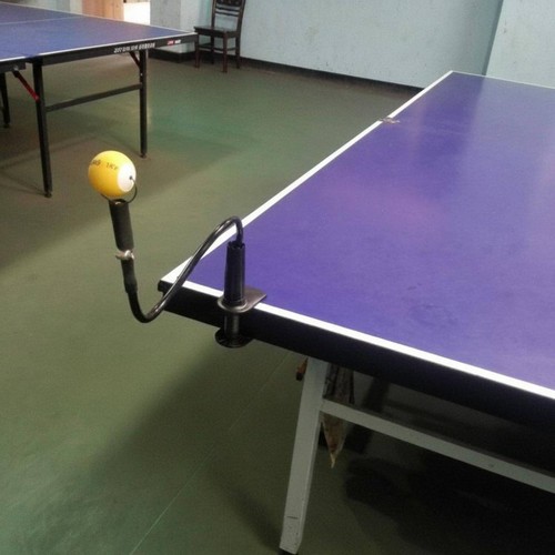 Allenatore table tennis - allenatore,