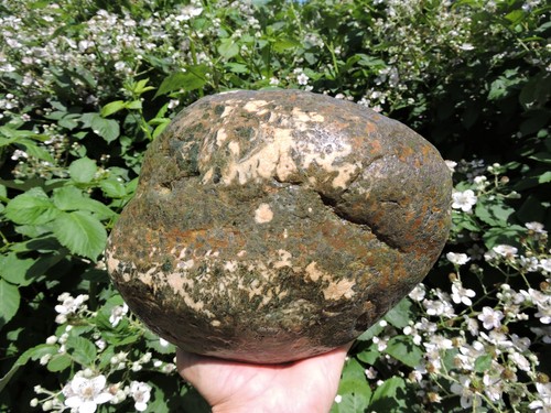 Nodulo riolite orbicolare