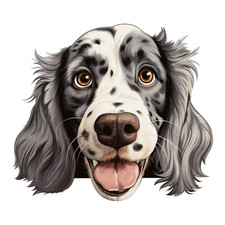 8 adesivi auto setter inglese