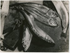 Photo Anonyme Argentique Still Life Vers 1930/40