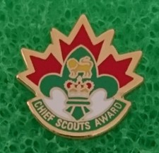 Distintivo spilla metallo