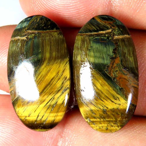 Coppia ovale occhio tigre - coppia, di