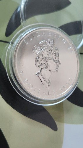 1999 dollari argento - 1999,