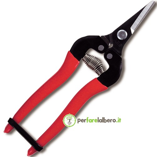 Forbici per vendemmia ars - per,