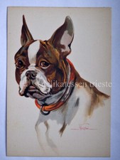 CANE dog bulldog francese Bouledogue cane vecchia cartolina Norfini