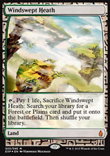 MTG WINDSWEPT HEATH FOIL EXC -