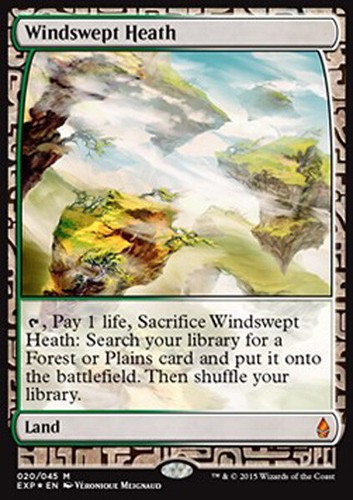 Mtg windswept heath foil - mtg,