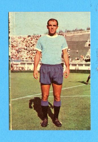 Calciatori patuzzi - calciatori,