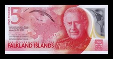 Islas Malvinas Falkland 5