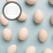 88 Compartments Cartoni Uova