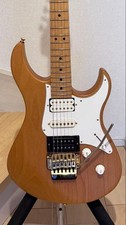 Chitarra elettrica naturale
