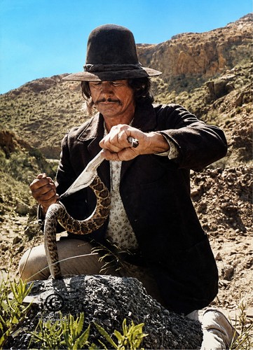 Photo charles bronson - photo, a4