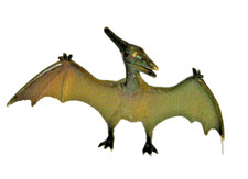Pterodactylus dinosauro - pterodactylus,