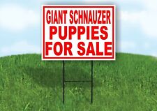 Giant Schnauzer PUPPIES FOR