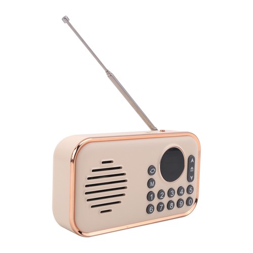 Radio portatile - fm,