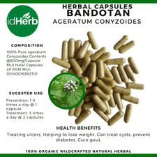 POLVERE Billygoat-weed