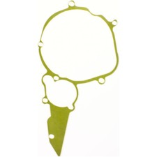 Guarnizione Pompa Acqua /