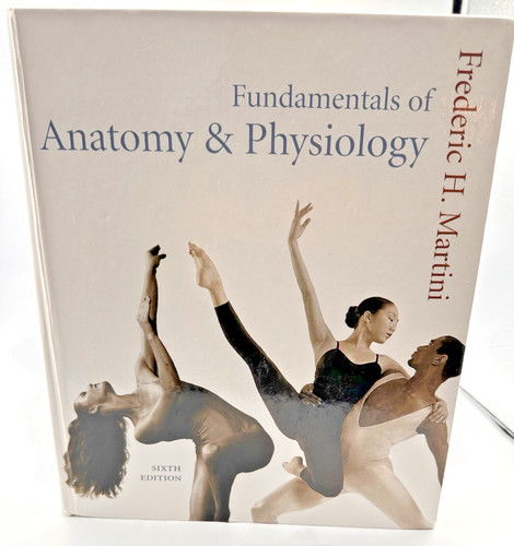 Fundamentals anatomy - fundamentals, &