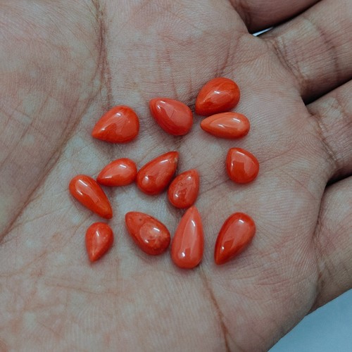 Autentico cabochon corallo - cabochon, di