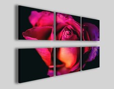 Quadri fiori Purple rose Q6