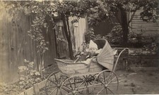 Carino Bambino IN Wicker