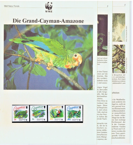 Wwf 1993 cayman - wwf,
