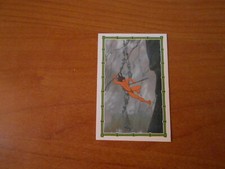 FIGURINA TARZAN ED. PANINI