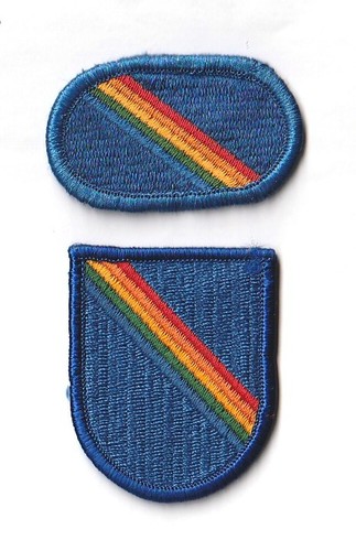 Oval beret flash - beret, 7th