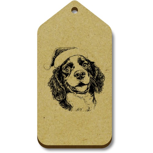 Inglese springer spaniel - 'inglese,