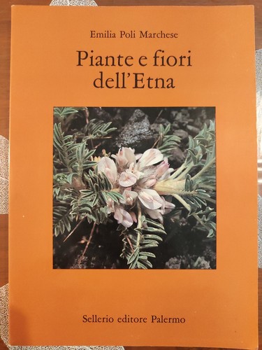 Piante fiori dell etna di - fiori,