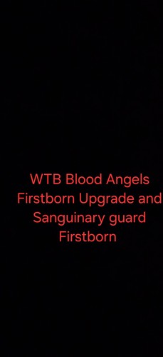 Wtb sanguinary guard firstborn - sanguinary,